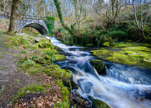 Cloghleagh