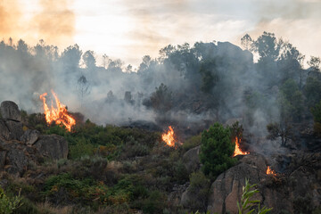 Incêndio florestal com grandes labaredas que deixam muito fumo no ar