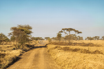 Obraz premium Tanzania travel safari serengeti