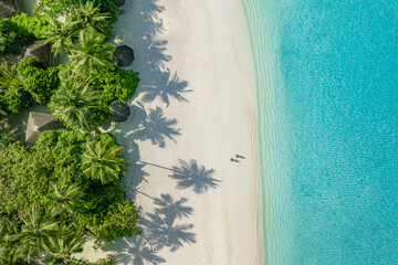 Aerial top view on sand beach. Tropical beach with white sand turquoise sea, palm trees under sunlight. Drone view, luxury travel destination scenic, vacation landscape. Amazing nature paradise island