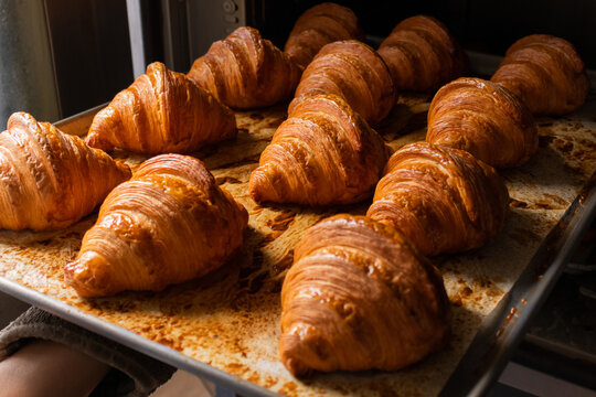 Freshly baked croissants on counter in bakery - Powered by Adobe