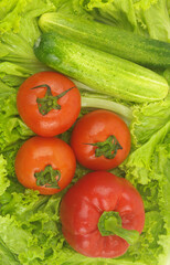 Sweet pepper, tomatoes and cucumbers on green salad leaves.	