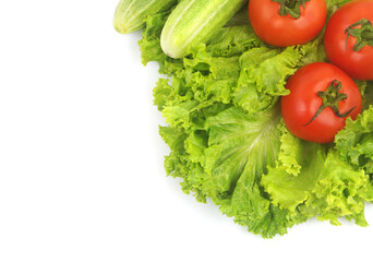 Fresh cucumbers and tomatoes on salad leaves background isolated on white.