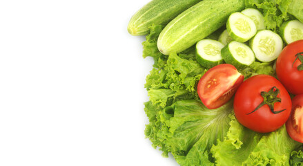 Fresh cucumbers and tomatoes on salad leaves background isolated on white. Copy space for text.