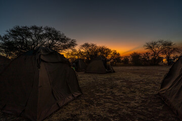 Tanzania safari © vic