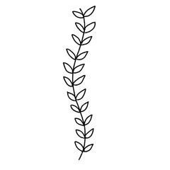 black and white background