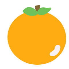 illustration of an orange