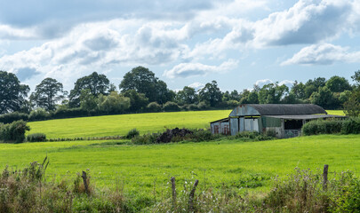 English Farmland on a sunny Summers day - 642396350