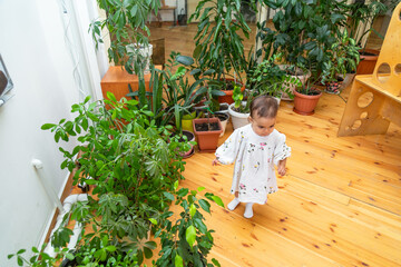 Toddler girl standing near potted flowers in the classroom