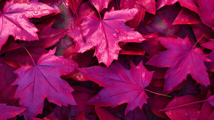 Viva Magenta beautiful view of big leaves in monochrome color. Forest Viva Magenta colored plants. Copy space. Color of the year 2023