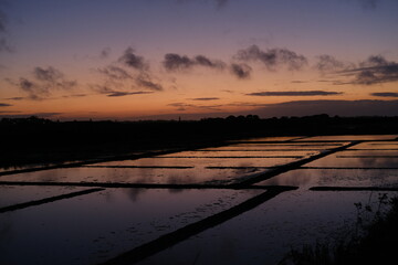 The Salt Marshes during the sunset, Guerande, France. August 2023.