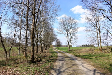 Germany, Curved way through nature landscape