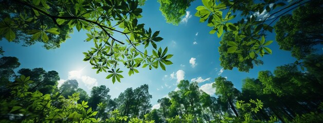 Sustainable Earth: Blue Sky & Green Trees
