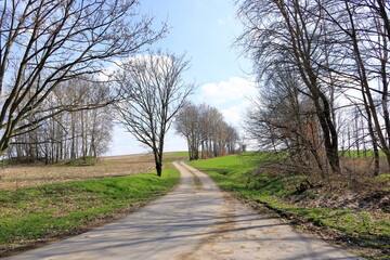 Germany, Curved way through nature landscape