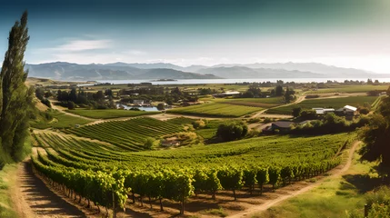 Outdoor kussens A scenic vineyard with rows of grapevines, a winery, and a panoramic view of the surroundings © Andrejs