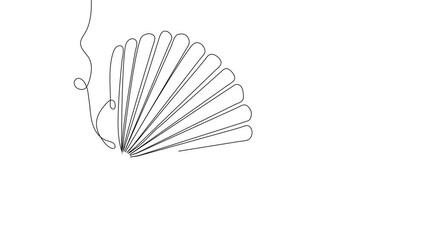 Sea schell continuous line, conches of sea snail video. Colorful shell, ocean conch