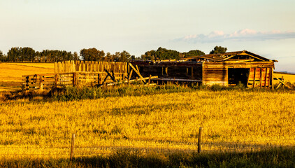 Obraz premium A drive through Wheatland County Alberta Canada