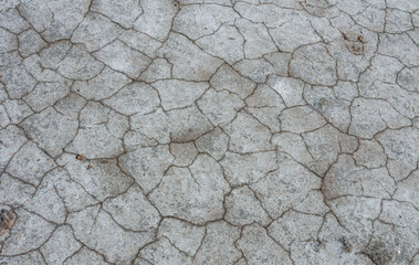 Dry cracked salty silt in the upper Kuyalnik estuary, Ukraine