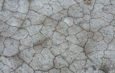 Dry cracked salty silt in the upper Kuyalnik estuary, Ukraine