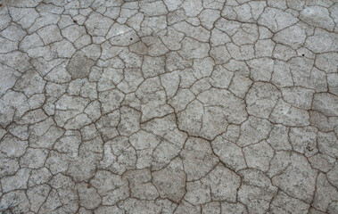 Dry cracked salty silt in the upper Kuyalnik estuary, Ukraine