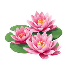 Beautiful pink lotus, waterlily flower on white background. flower and leave cartoon illustration.