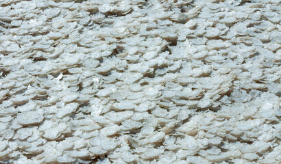 Crystallized salt on a muddy bottom in the upper Kuyalnitsky estuary. Kuyalnik Estuary, Ukraine