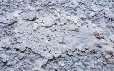 Self-precipitating table salt sodium chloride on the surface of a dried-up reservoir - Kuyalnik estuary, Odessa region, Ukraine