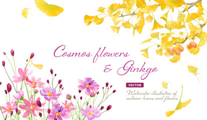 秋のフレームデザイン。イチョウの木とコスモスと吾亦紅（ワレモコウ）の水彩イラスト。（ベクター。レイアウト変更可能）
