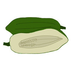 papaya salad illustration