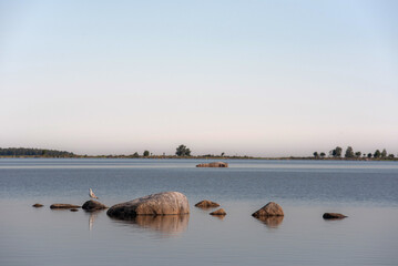 Rocks in the water in the beautiful morning sun on the coast of Finland