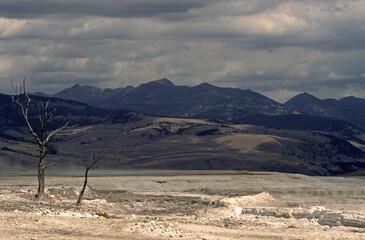 Geyser, Geyser de Mammoth, Parc National du Yellowstone, U.S.A