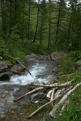 Cascade, zone de protection de la nature, Bois de la Laye, Tignes, massif de la Vanoise, Haute Tarentaise, Savoie, 73, France