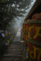 Moody wood bridge in the super atmospheric forest surrounded by fog in National park Beskydy, Czech Republic, Europe.