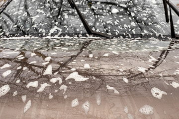 the hood and windshield of a car with the reflection of tree branches, wet with foam after washing. Car wash