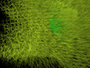 Imaginatory fractal abstract background Image