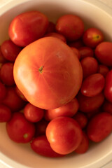 Closeup view of a freshly picked tomatoes