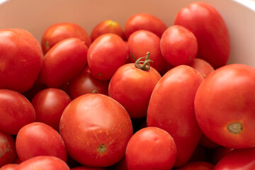 Closeup view of a freshly picked tomatoes