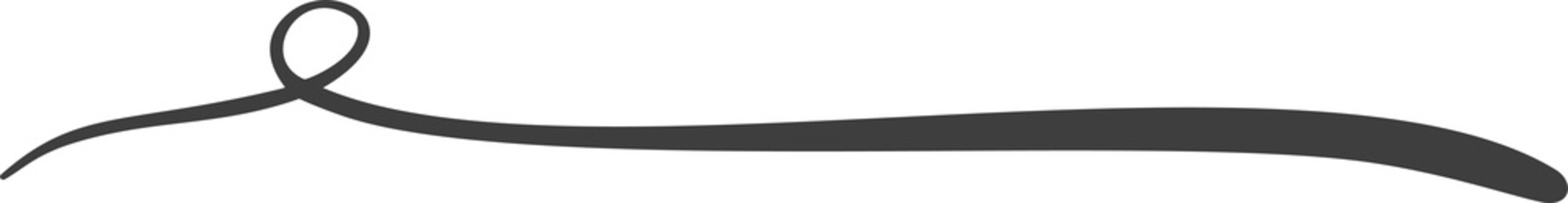 Swash swoop and swish calligraphy sign. Underlines hand drawn stroke