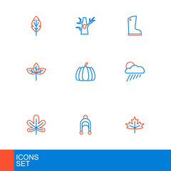 Set line Canadian maple leaf, Leaf, Chestnut, Cloud with rain and sun, Winter hat, Pumpkin, Waterproof rubber boot and Bare tree icon. Vector