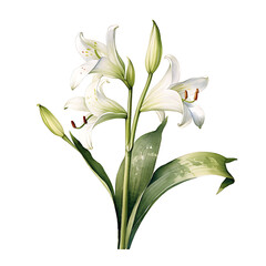 flower, made of watercolor, gouache paint, white background, isolated, generative ai