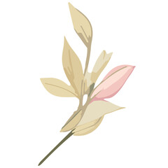 Obraz premium Blossoming Border Collection: Beautiful Flowers for Creative Projects