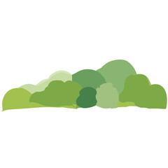 Obraz premium Green tree isolated on white background, with leaves and branches, representing nature and growth