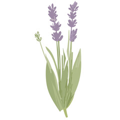Charming Lavender Vector Illustrations: Cute and Versatile Lavender Flower Graphics in High-Resolution for Crafts, Decor, and Creative Projects - Instant Download, Perfect for Various Applications