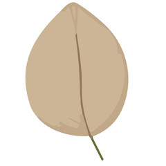 The Artistry of Blooms Floral Elements Crafted for Creativity