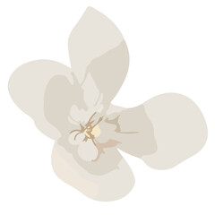 The Artistry of Blooms Floral Elements Crafted for Creativity