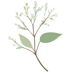 Whispers of Nature: Exploring the Diversity of Floral Elements