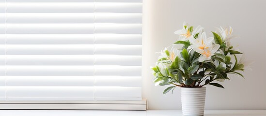 Blinds covered window with flower pot at home
