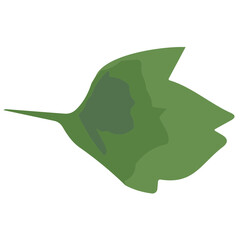 Elegance in Bloom: A Captivating Collection of Floral Elements