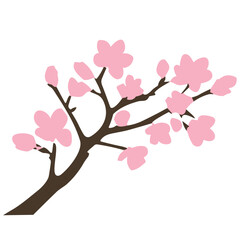 Cherry blossoms bloom on a graceful branch against a spring sky, embodying the beauty of nature in Japan