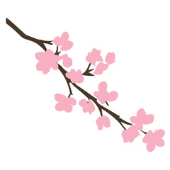 Cherry blossoms bloom on a graceful branch against a spring sky, embodying the beauty of nature in Japan